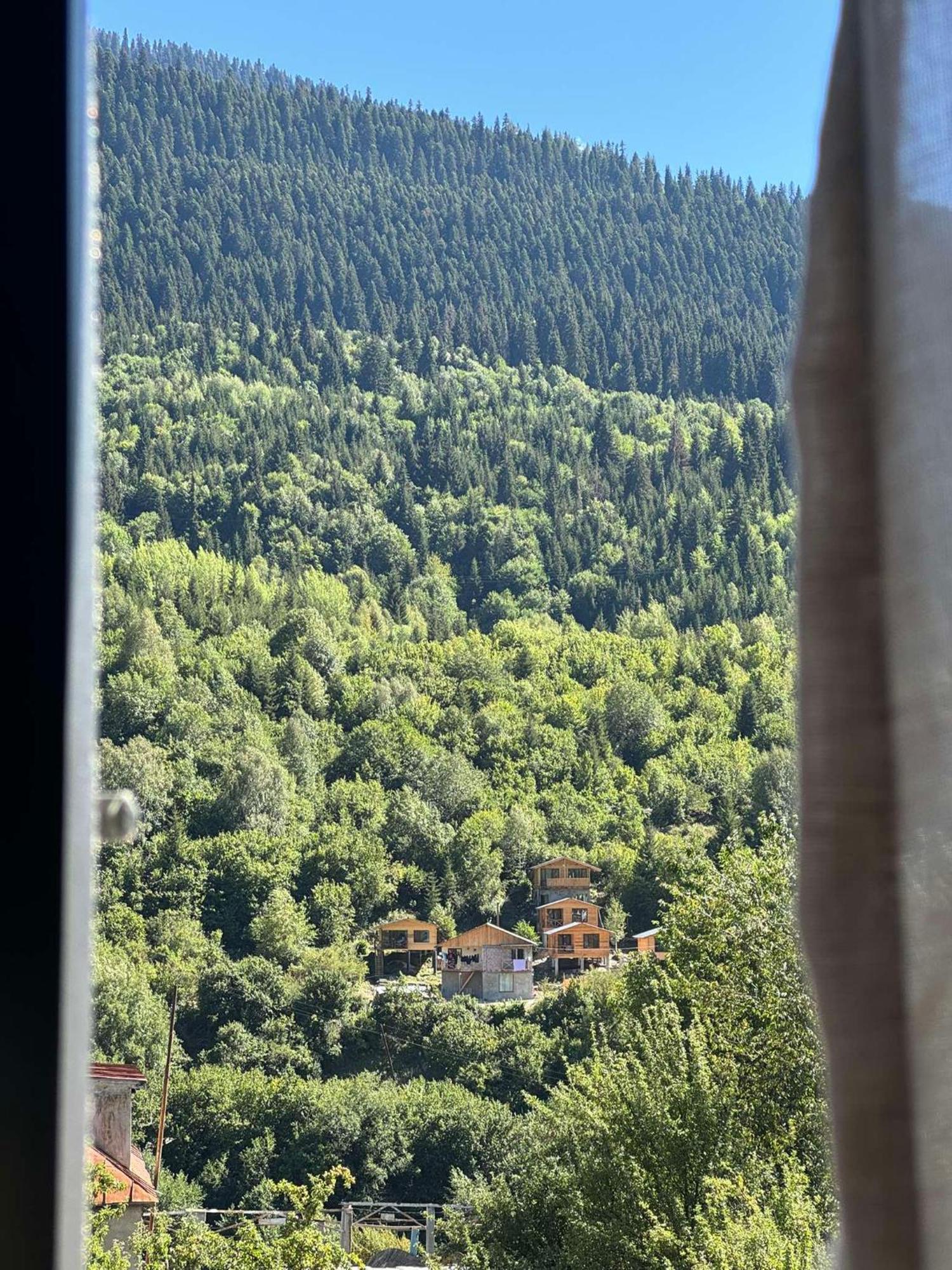 Nino Ratiani'S Guesthouse Mestia Zewnętrze zdjęcie